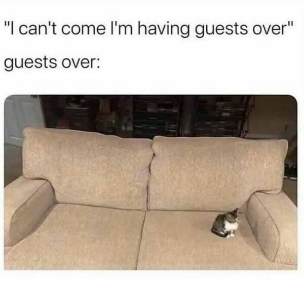 Random Memes (22 pics)