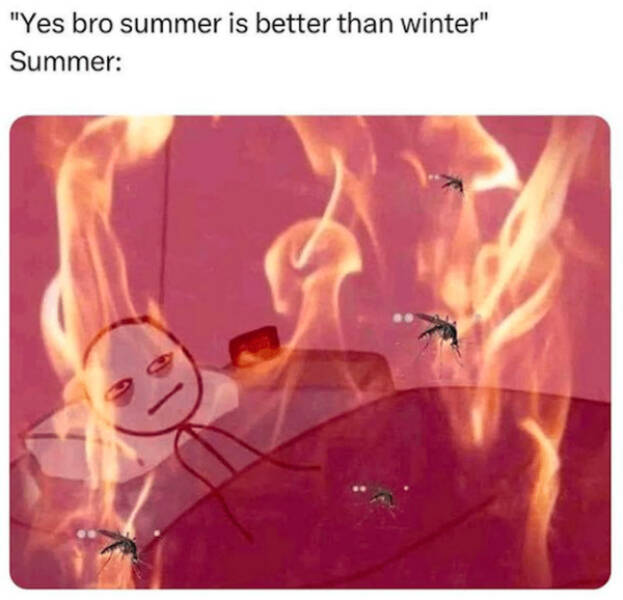 Funny Memes (19 pics)
