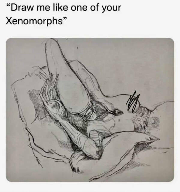 Funny Memes (19 pics)