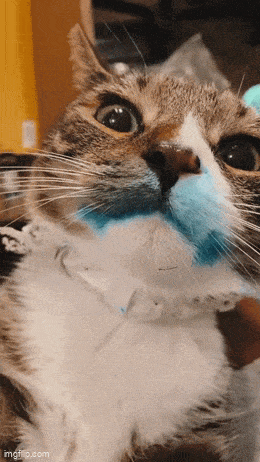 Acid GIFs, May 24 (25 gifs) Acid GIFs, May 24 (25 gifs)