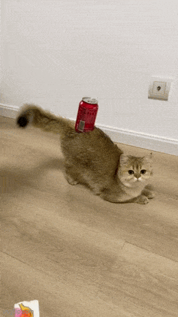 Acid GIFs, May 24 (25 gifs) Acid GIFs, May 24 (25 gifs)