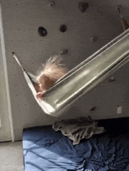 Acid GIFs, May 25 (25 gifs) Acid GIFs, May 25 (25 gifs)