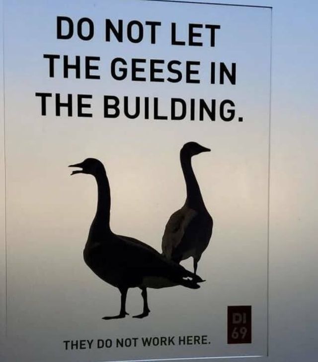 Failed And Funny Signs (17 pics)