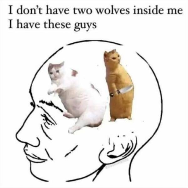 Daily Pictures. Part 2 (51 pics)