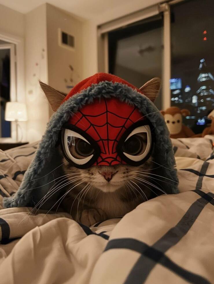 Daily Pictures. Part 2 (51 pics)