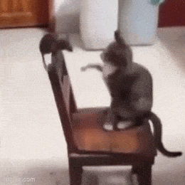 Acid GIFs, May 28 (25 gifs) Acid GIFs, May 28 (25 gifs)