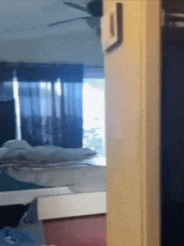 Acid GIFs, May 28 (25 gifs) Acid GIFs, May 28 (25 gifs)
