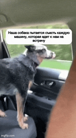 Acid GIFs, May 28 (25 gifs) Acid GIFs, May 28 (25 gifs)