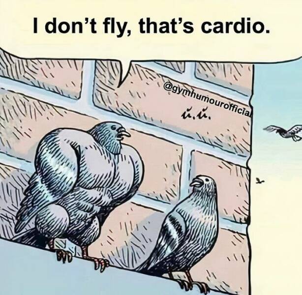 Sports Jokes (20 pics)