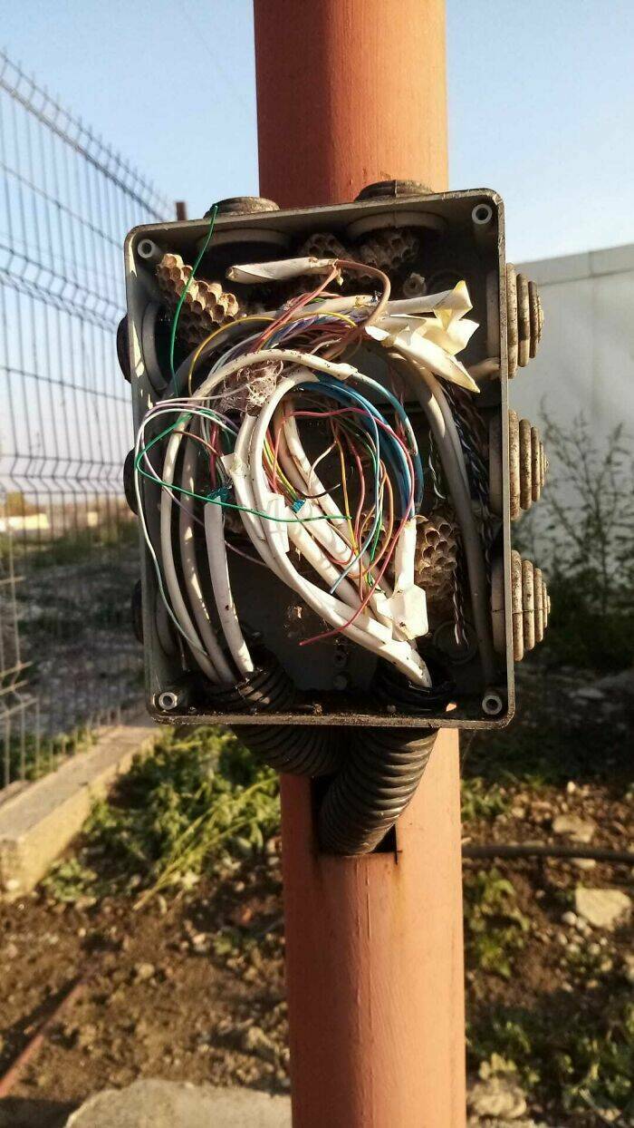 Horror For Technical Support Employees (23 pics)