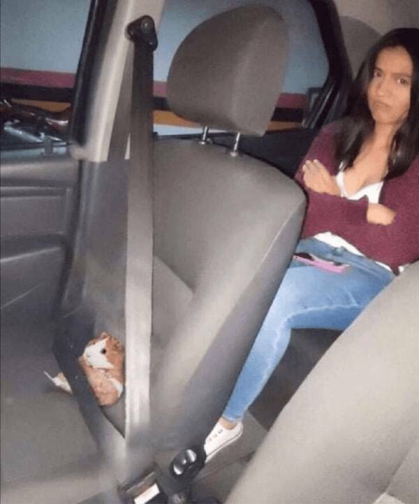 What Is Going On Here? (17 pics)