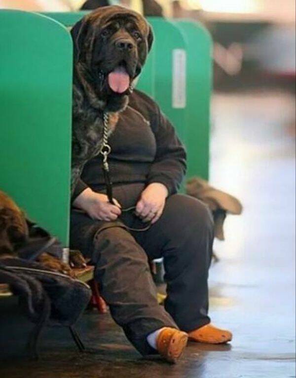 What Is Going On Here? (17 pics)