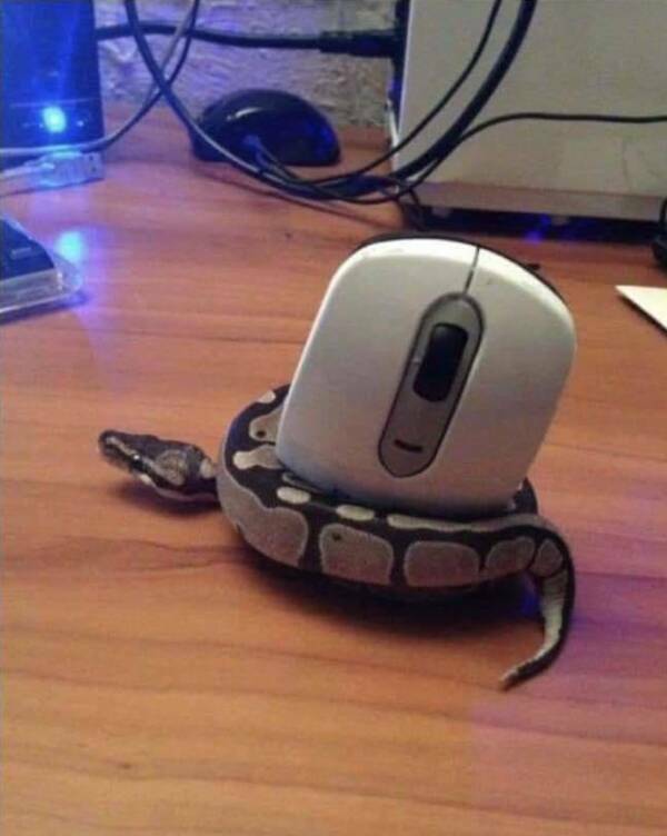 What Is Going On Here? (17 pics)