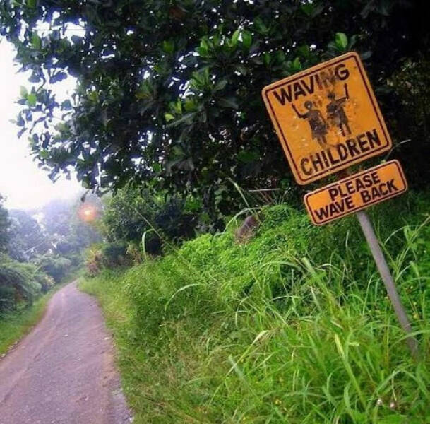 Funny Signs (21 pics)
