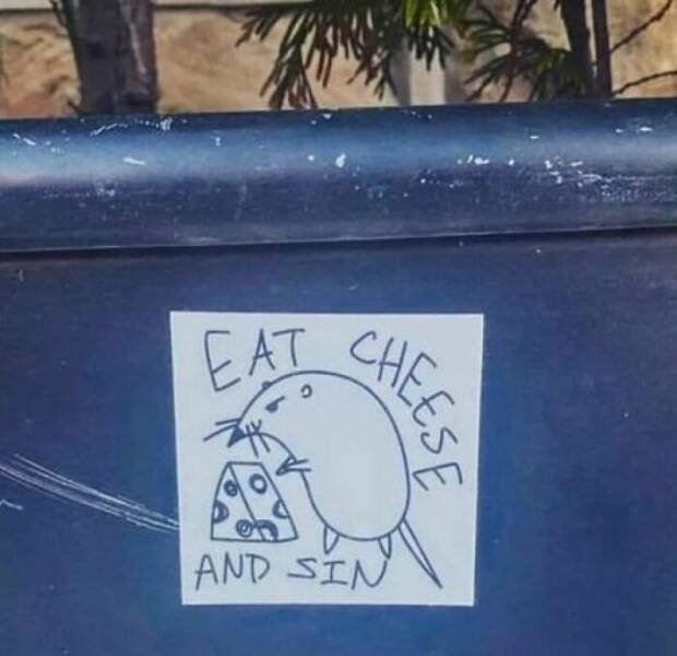 Funny Signs (21 pics)