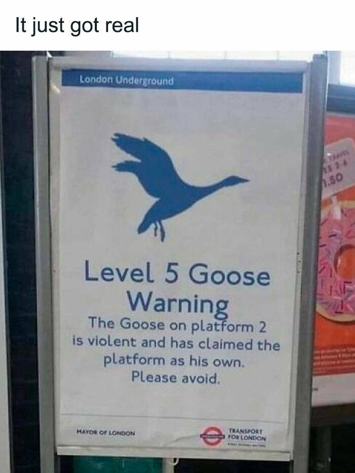 Funny Signs (21 pics)