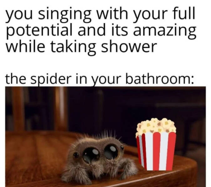 Kind Jokes (15 pics)