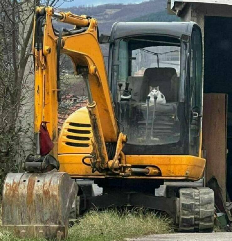 Daily Pictures. Part 2 (54 pics)