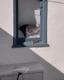 Acid GIFs, May 30 (25 gifs) Acid GIFs, May 30 (25 gifs)