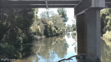 Acid GIFs, May 30 (25 gifs) Acid GIFs, May 30 (25 gifs)