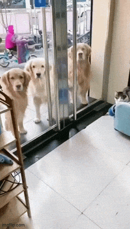 Acid GIFs, May 30 (25 gifs) Acid GIFs, May 30 (25 gifs)