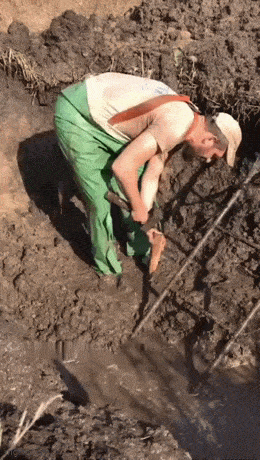 Acid GIFs, May 31 (25 gifs) Acid GIFs, May 31 (25 gifs)