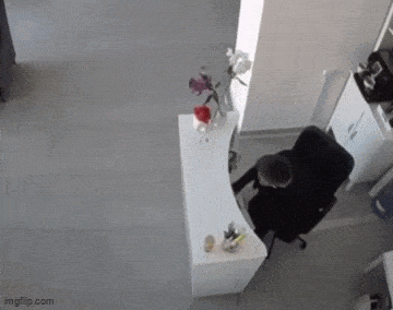 Acid GIFs, May 31 (25 gifs) Acid GIFs, May 31 (25 gifs)