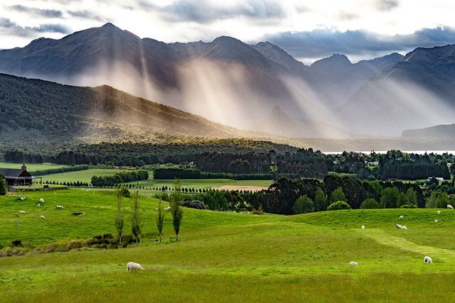 Expanded Article: Exploring New Zealand's Top 17 Must-Experience Adventures