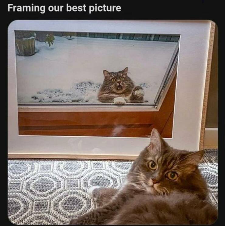 Daily Pictures. Part 2 (51 pics)