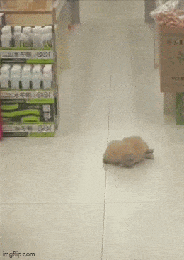 Acid GIFs, June 3 (25 gifs)