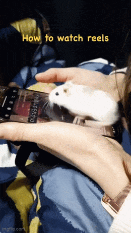 Acid GIFs, June 3 (25 gifs)