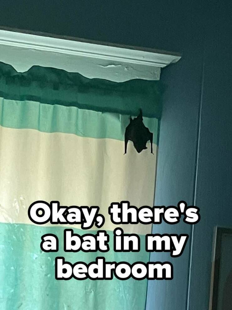 Bad Days Happen (16 pics)