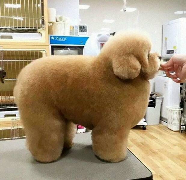 Daily Pictures. Part 1 (55 pics)