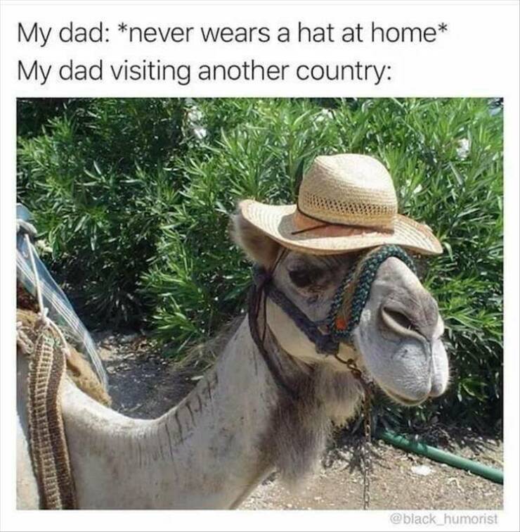 Daily Pictures. Part 2 (54 pics)