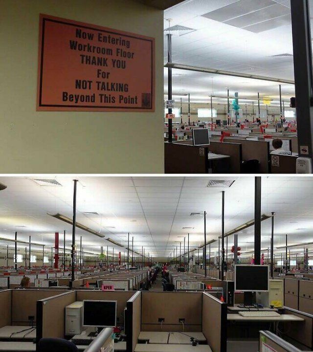 Annoying Prohibitions At Work (24 pics)
