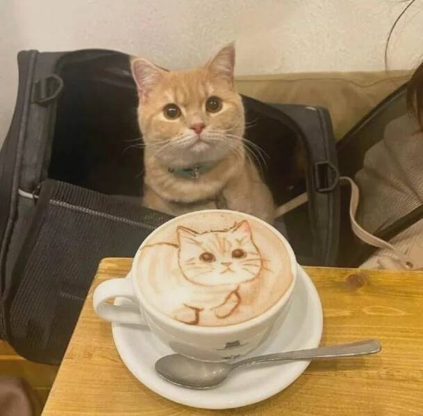 Daily Pictures. Part 1 (60 pics)