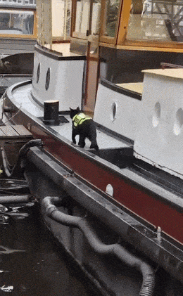 Acid GIFs, June 5 (25 gifs) Acid GIFs, June 5 (25 gifs)