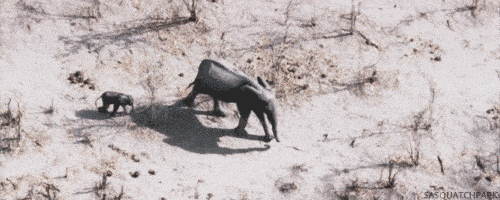 Acid GIFs, June 5 (25 gifs) Acid GIFs, June 5 (25 gifs)