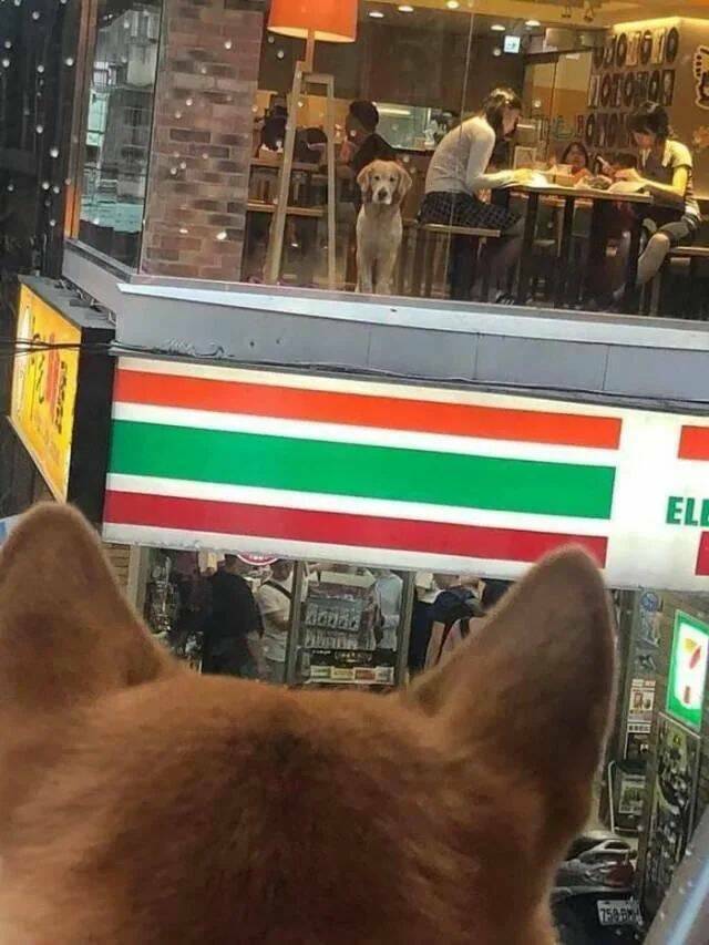 Daily Pictures. Part 1 (53 pics)