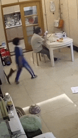 Acid GIFs, June 6 (25 gifs) Acid GIFs, June 6 (25 gifs)