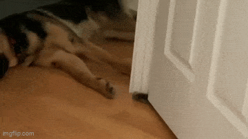 Acid GIFs, June 6 (25 gifs) Acid GIFs, June 6 (25 gifs)