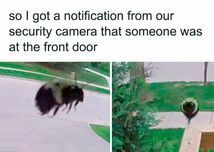 Jokes For Good Mood (21 pics)
