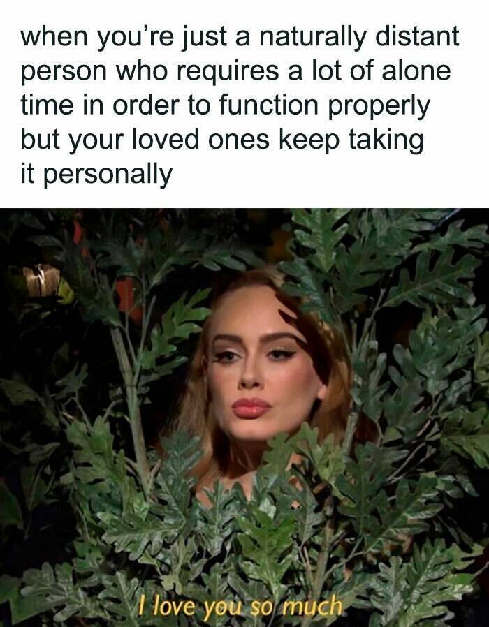 Memes For Introverts (22 pics)