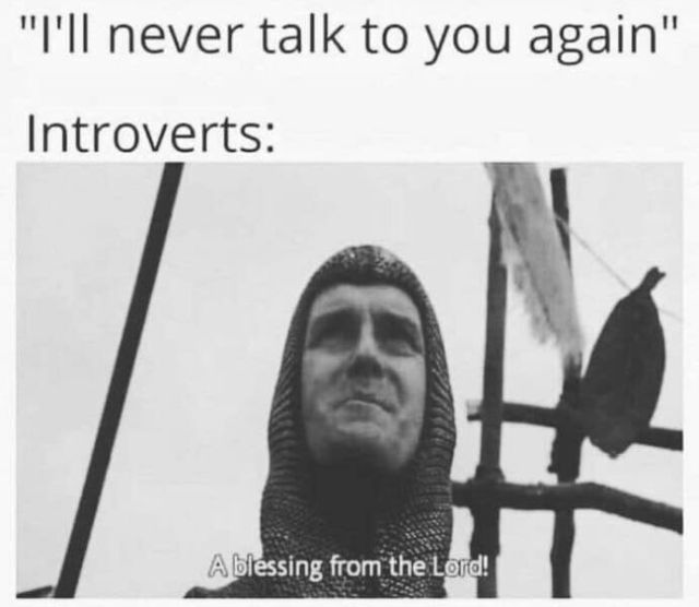 Memes For Introverts (22 pics)