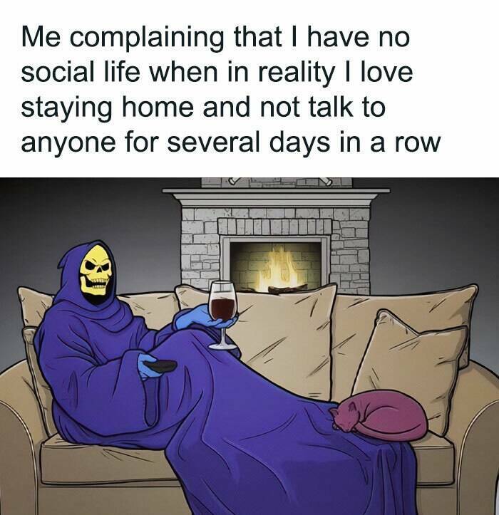 Memes For Introverts (22 pics)