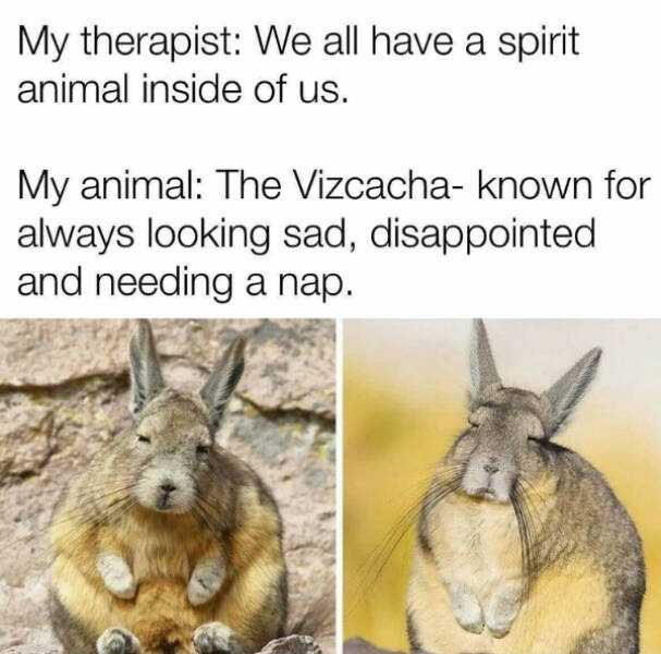 Funny Memes (18 pics)