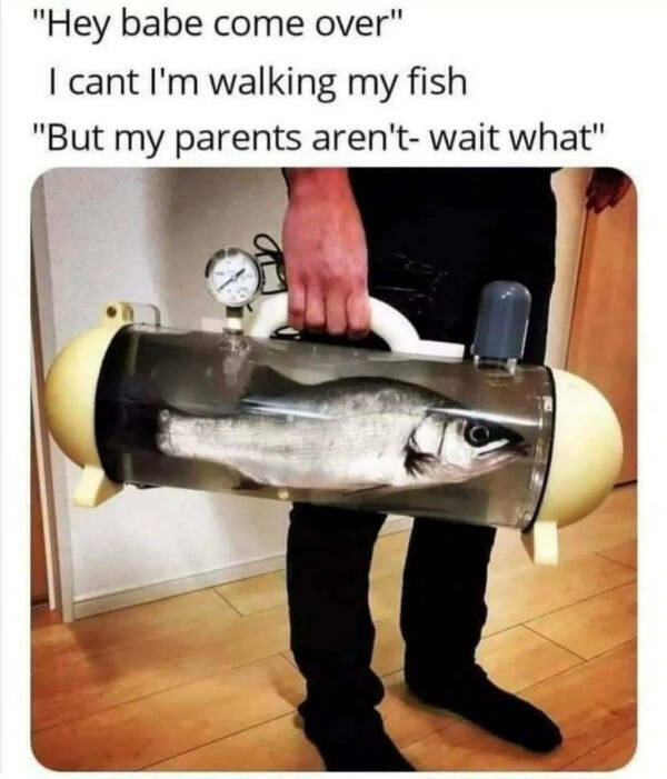 Funny Memes (18 pics)