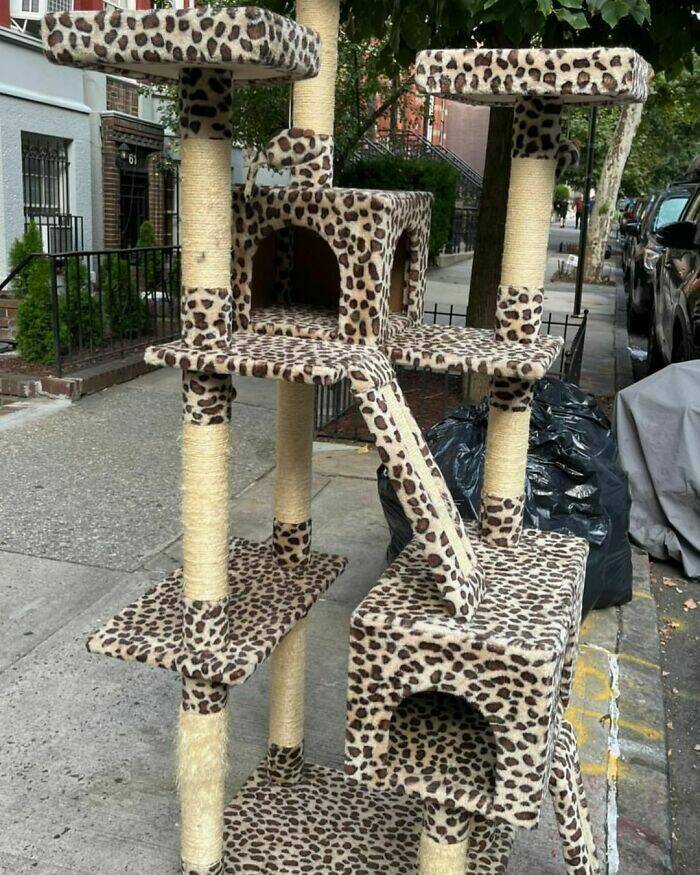 Cool Roadside Finds (25 pics)