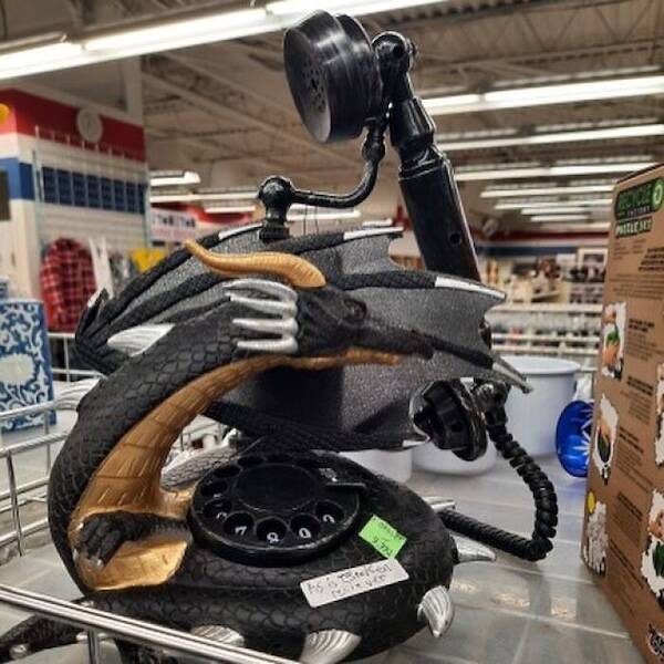 Weird Finds In Thrift Shops (22 pics)