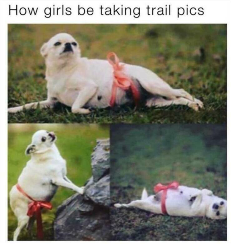 Daily Pictures. Part 2 (52 pics)